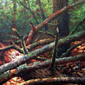Fallen Oak